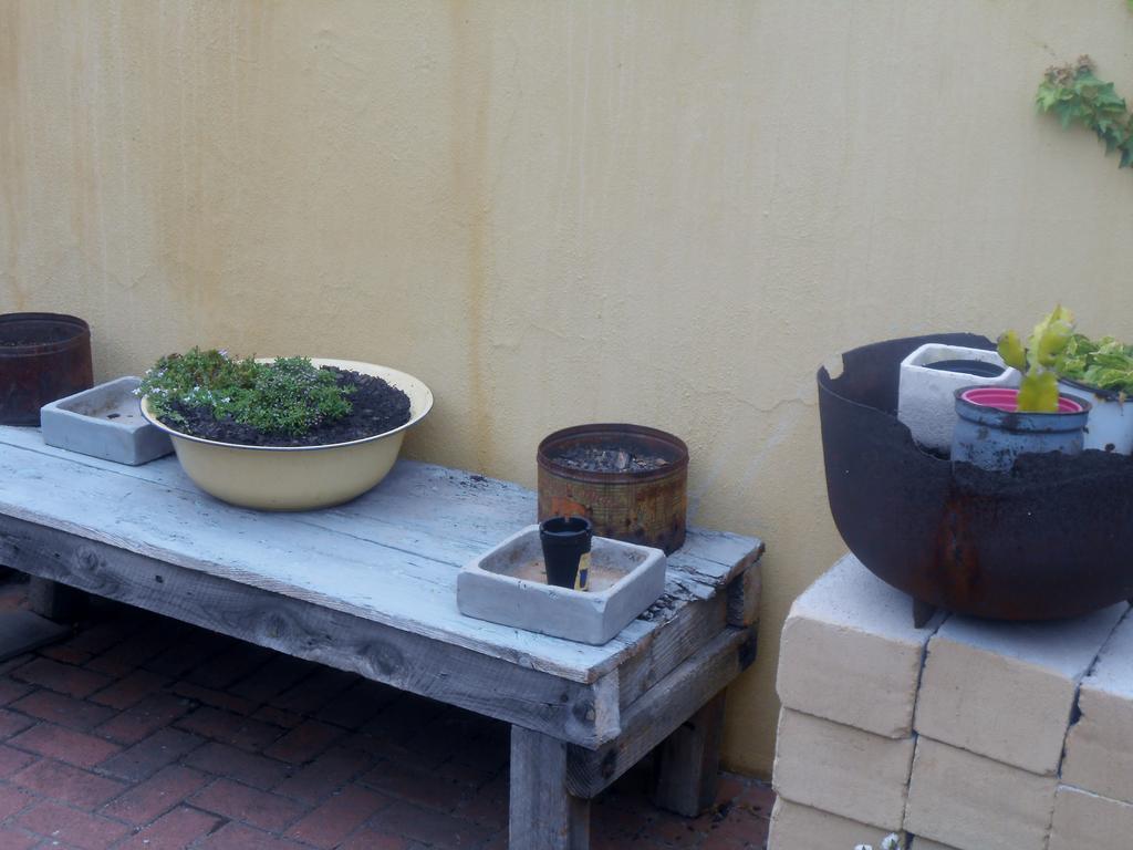 Toscana Cottage ポート・エリザベス エクステリア 写真